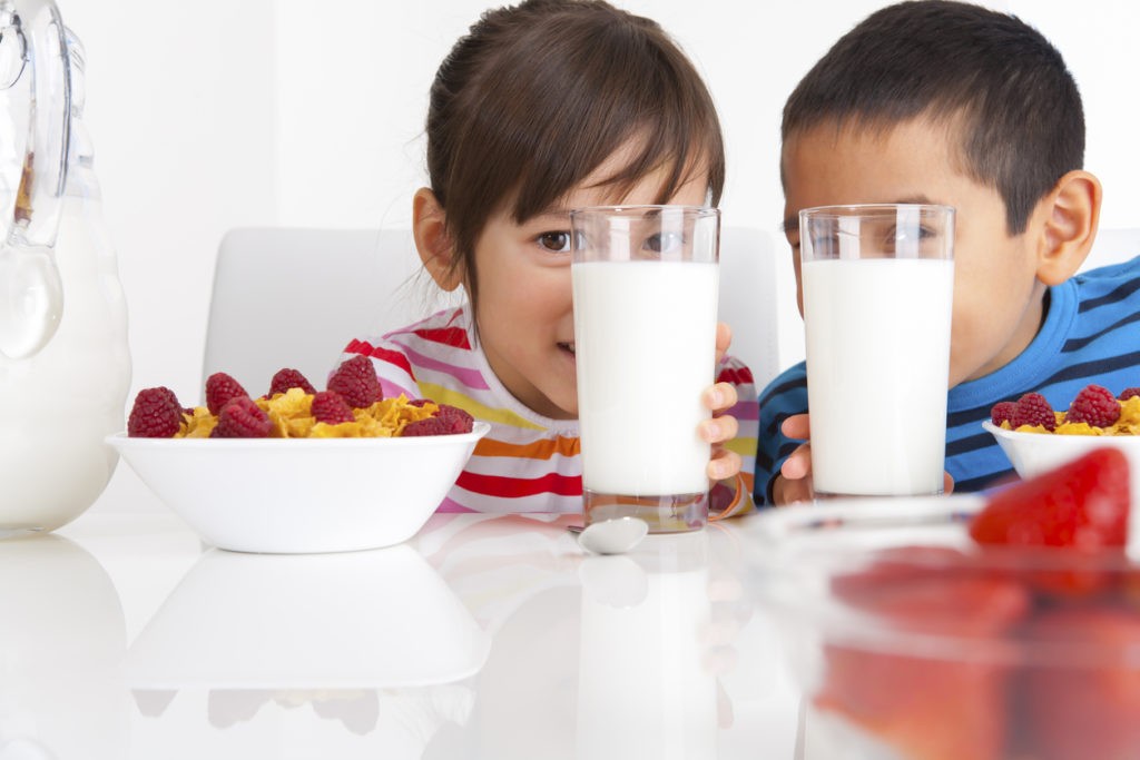 Dairy foods are important in human diet. Two children look at milk in glasses.